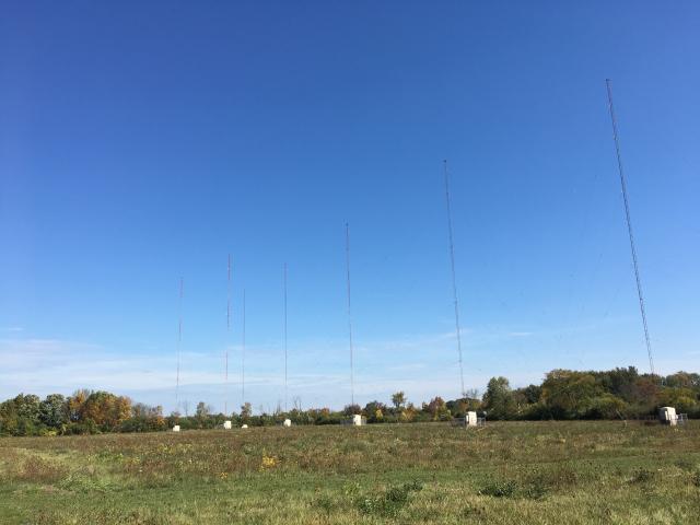 View of array