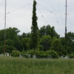 Tower 3