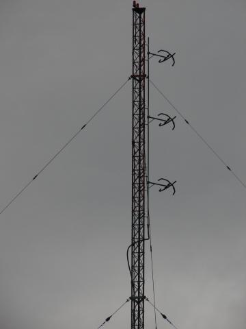 FM antenna