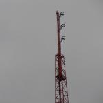 FM antenna